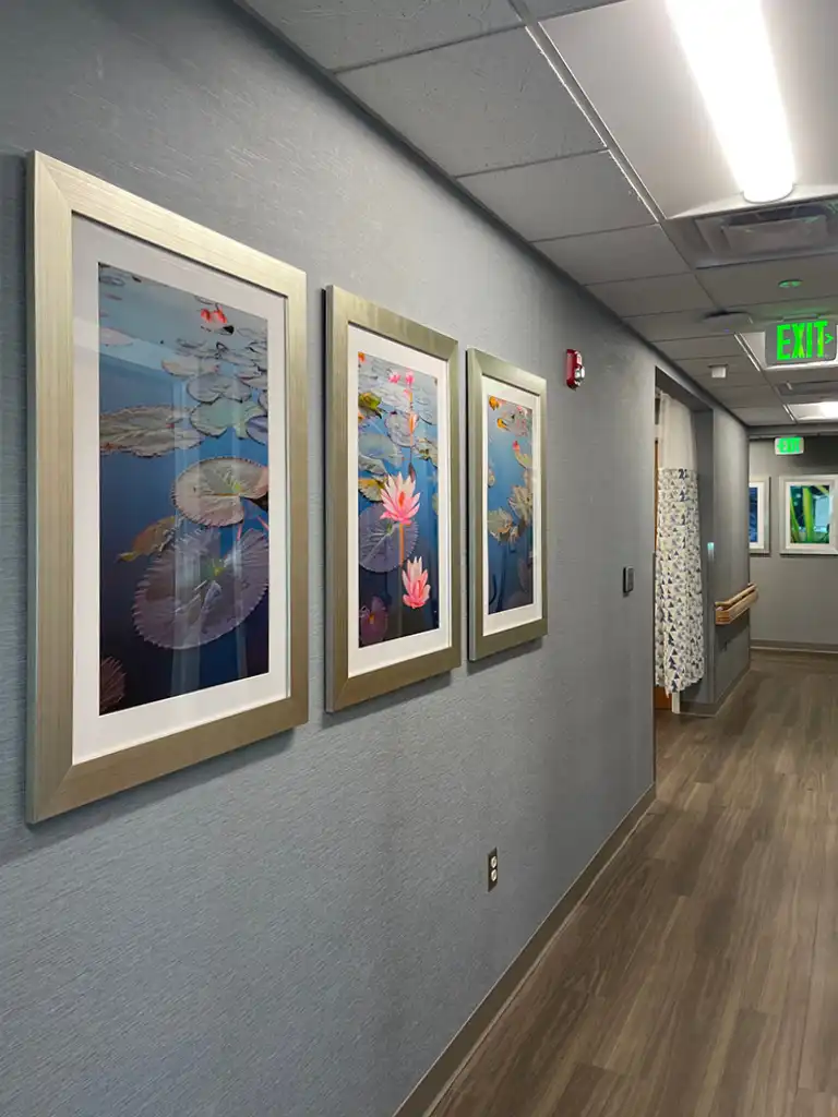 art selection healthcare facility patient impact
